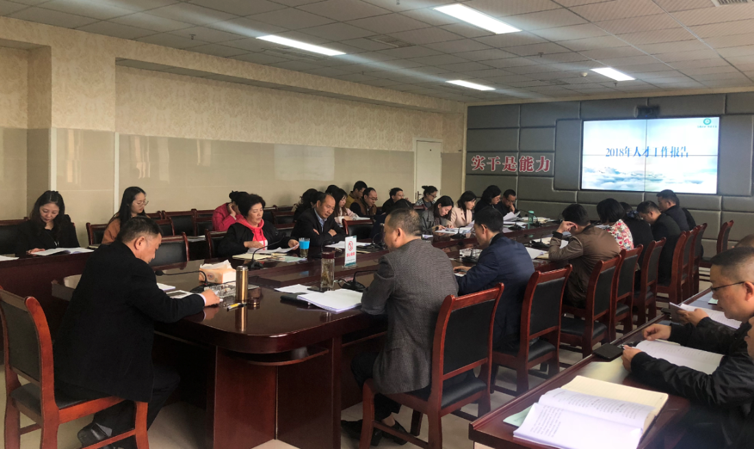 我院召开2018年人才工作专题会议