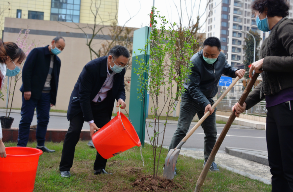 我院开展了义务植树活动