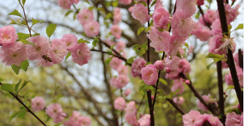 隔离病毒   不隔离爱