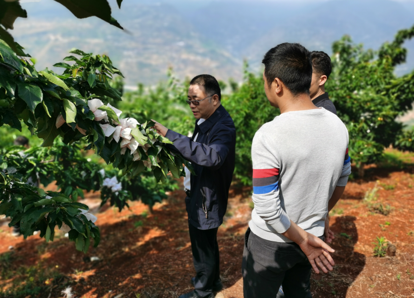 雅安市第四人民医院开展脱贫攻坚督导调研工作