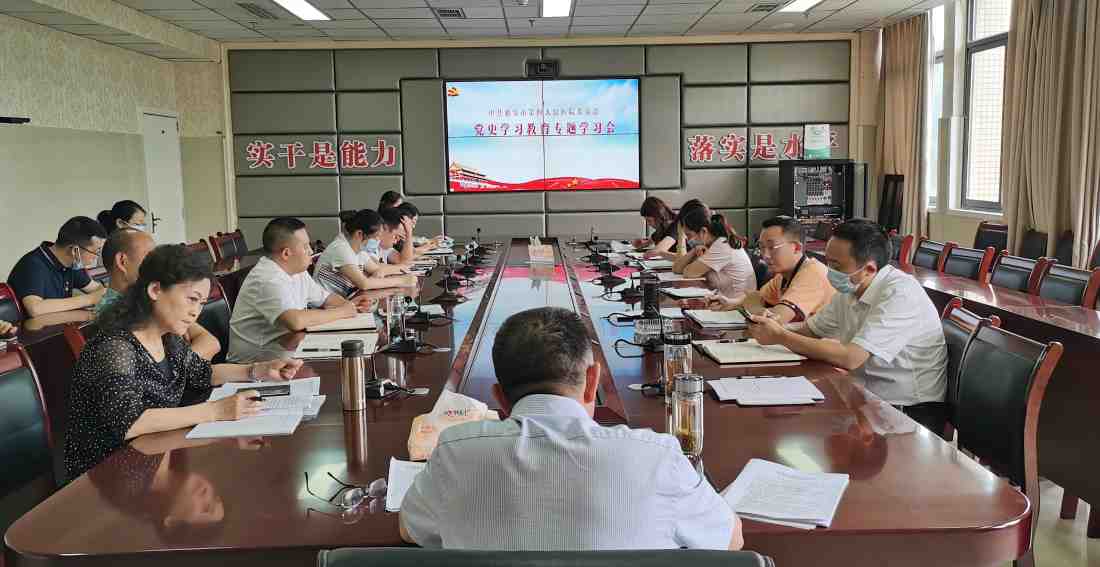 雅安市第四人民医院召开党史学习教育专题学习会
