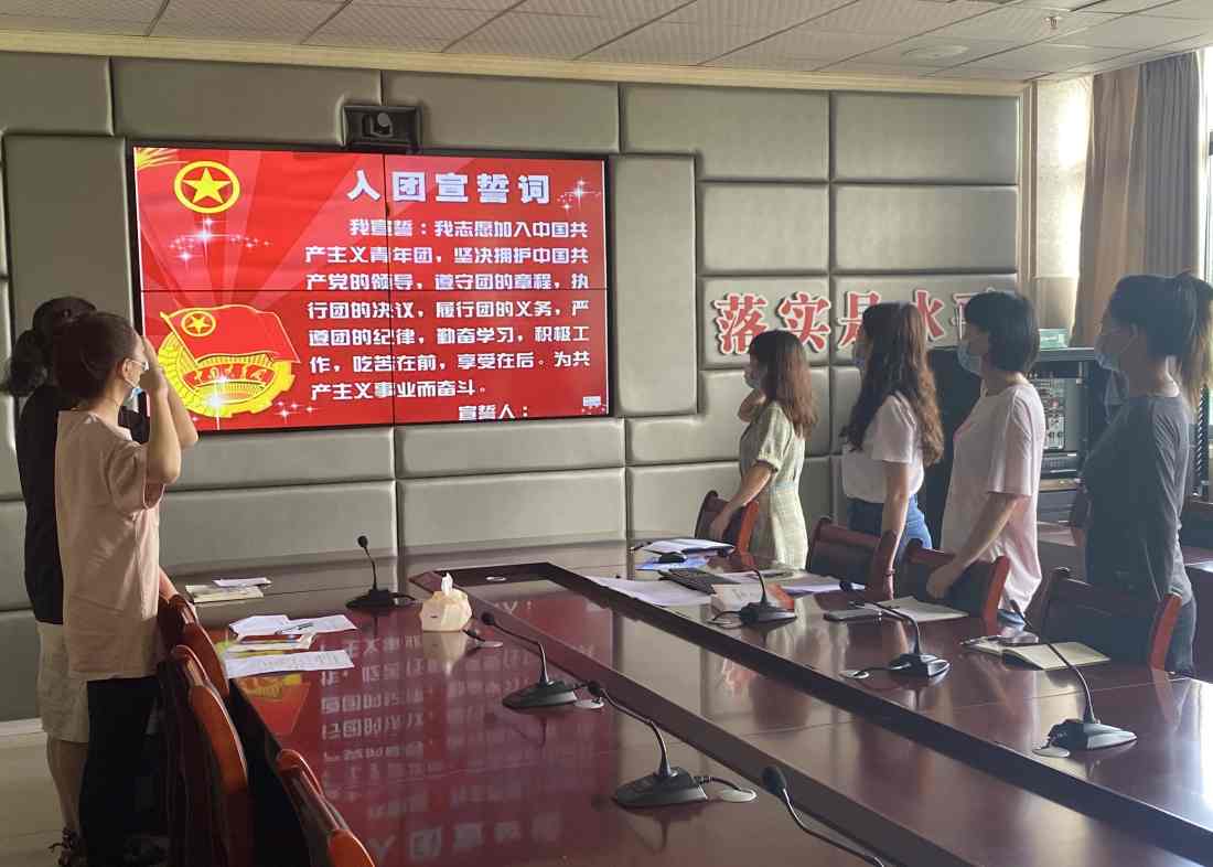 雅安市第四人民医院行政机关团支部召开“请党放心、强国有我”主题党日活动暨第三次党史学习会