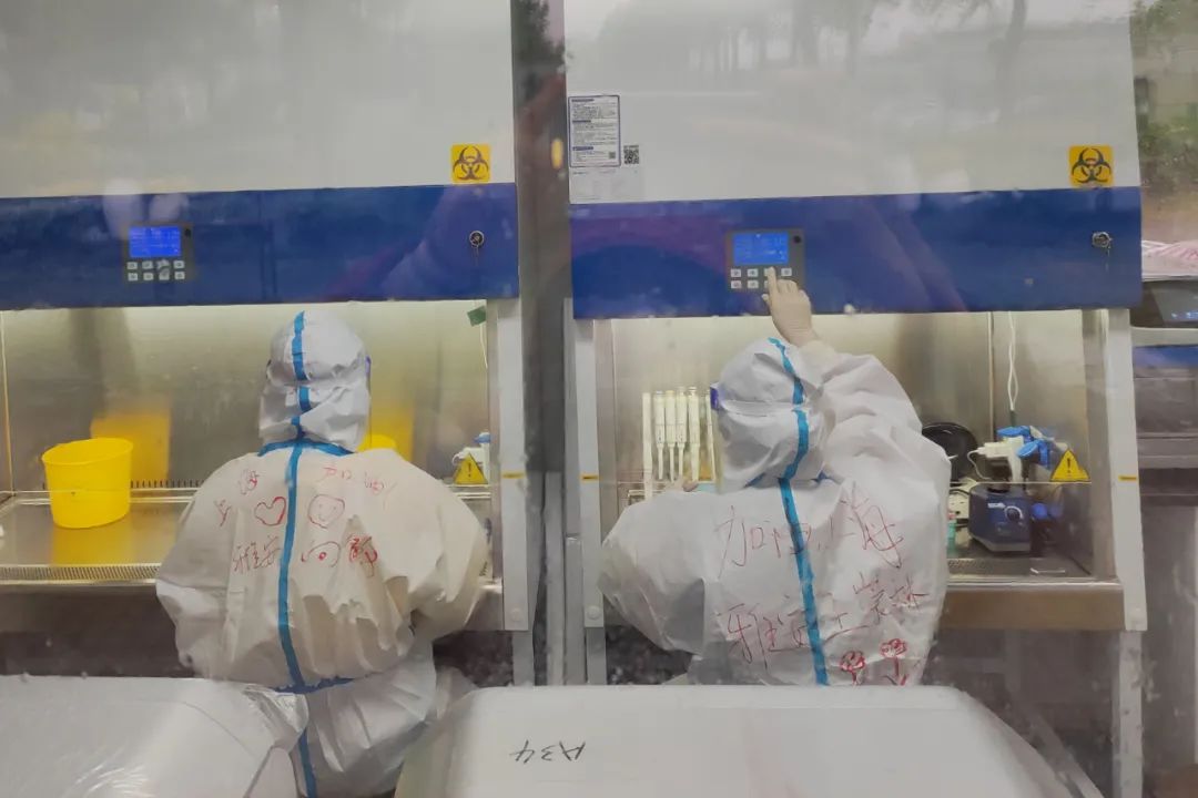 雅安市第四人民医院向敏：完成好任务 守护好群众