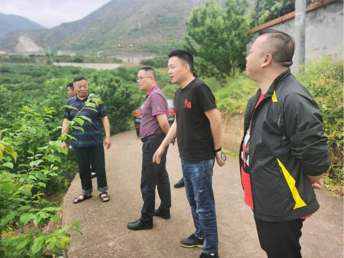 雅安市第四人民医院前往唐家村开展乡村振兴工作调研
