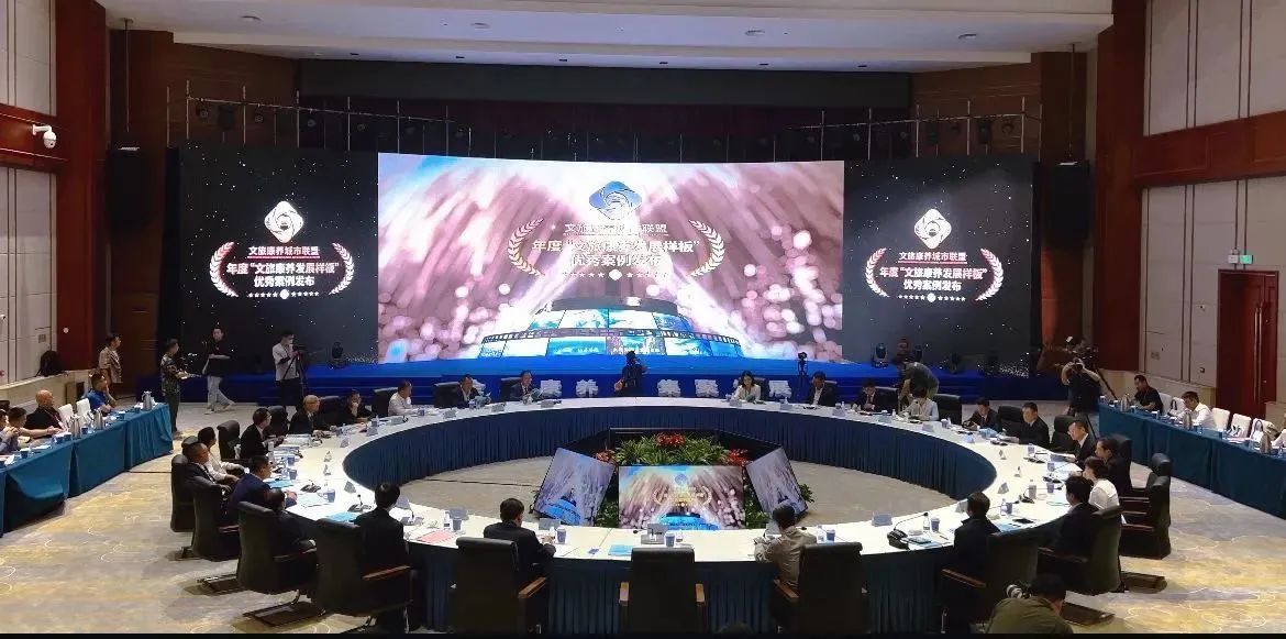 雅安医养荣获“最具示范价值的城市发展样板”