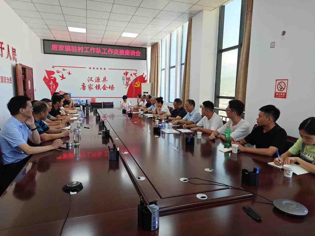 雅安市第四人民医院三名驻村工作队员到村到岗