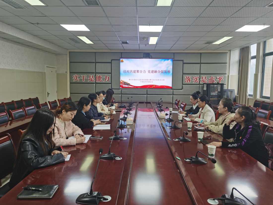 结对共建聚活力  党建融合促发展