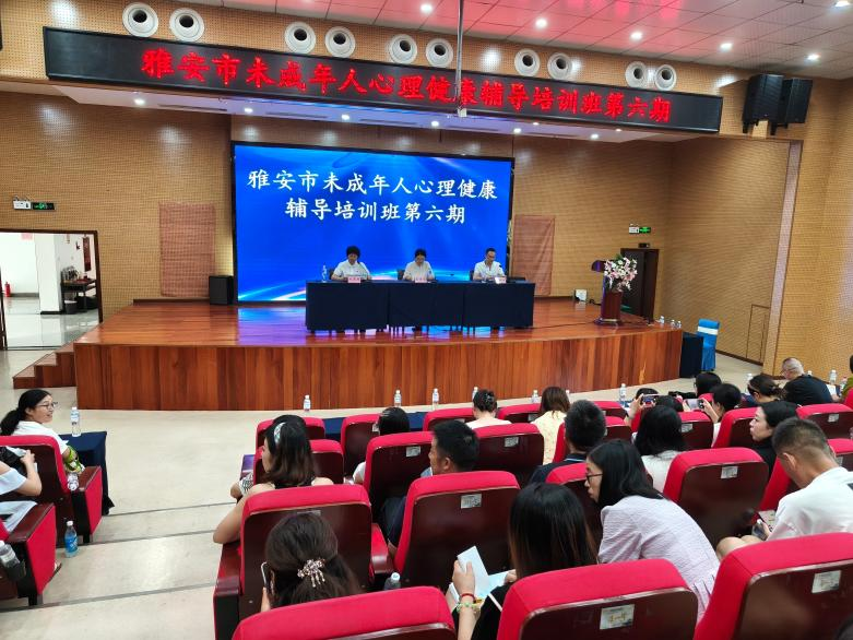 聚焦能力强赋能，医教协同护青春